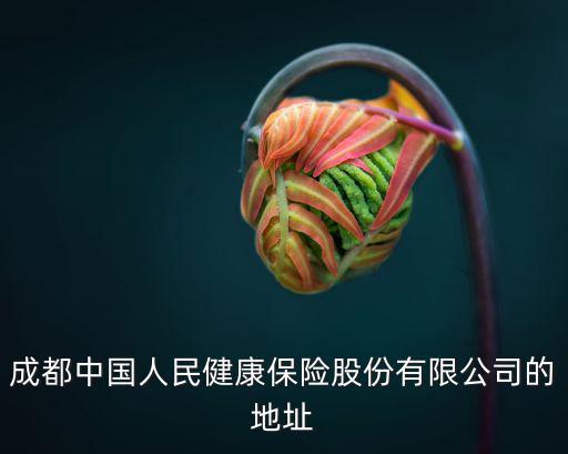 成都中國人民健康保險股份有限公司的地址
