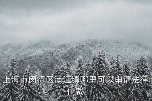 上海市閔行區(qū)浦江鎮(zhèn)哪里可以申請法律仲裁