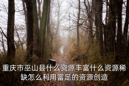 重慶市巫山縣國內生產總值，重慶的國內生產總值