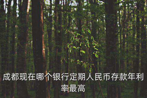 成都現(xiàn)在哪個銀行定期人民幣存款年利率最高