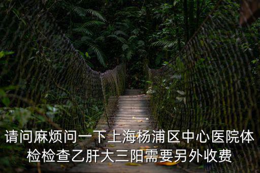 請問麻煩問一下上海楊浦區(qū)中心醫(yī)院體檢檢查乙肝大三陽需要另外收費