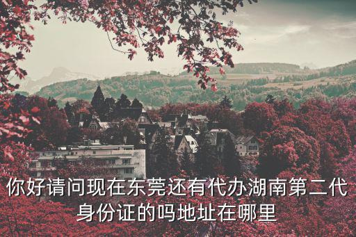 你好請問現在東莞還有代辦湖南第二代身份證的嗎地址在哪里
