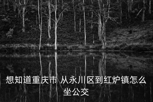 想知道重慶市 從永川區到紅爐鎮怎么坐公交
