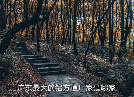 廣州弧形鋁方通天花板，大廣鋁方通的價格怎么樣wwwgzceilingcom