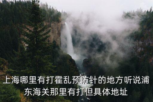 上海哪里有打霍亂預防針的地方聽說浦東海關那里有打但具體地址