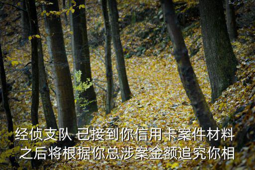 經偵支隊 已接到你信用卡案件材料 之后將根據你總涉案金額追究你相