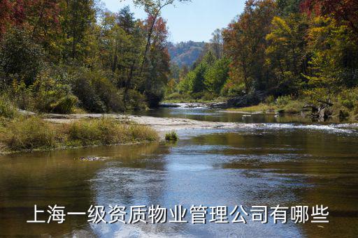 上海一級資質物業管理公司有哪些