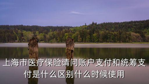 上海市醫療保險請問賬戶支付和統籌支付是什么區別什么時候使用