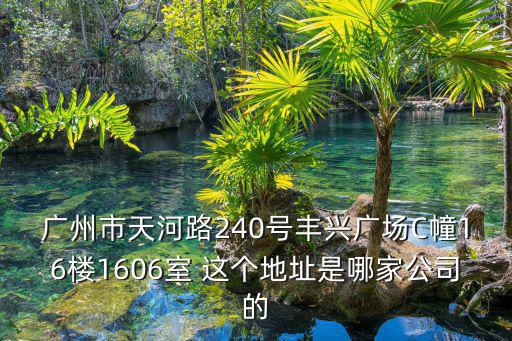 廣州市天河路240號豐興廣場C幢16樓1606室 這個地址是哪家公司的