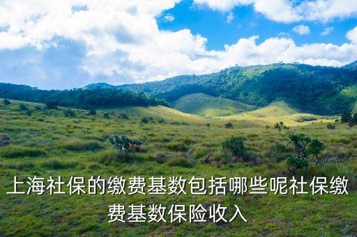 上海社保的繳費基數包括哪些呢社保繳費基數保險收入