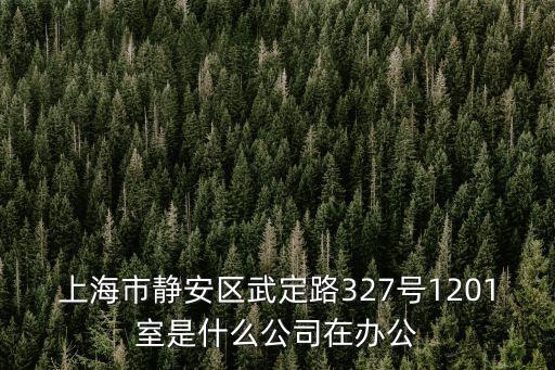 上海市靜安區(qū)武定路327號1201室是什么公司在辦公