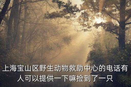 上海市鳥類協會，上海寶山區野生動物救助中心的電話有人可以提供一下嘛撿到了一只