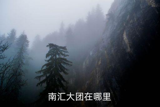 南匯大團在哪里