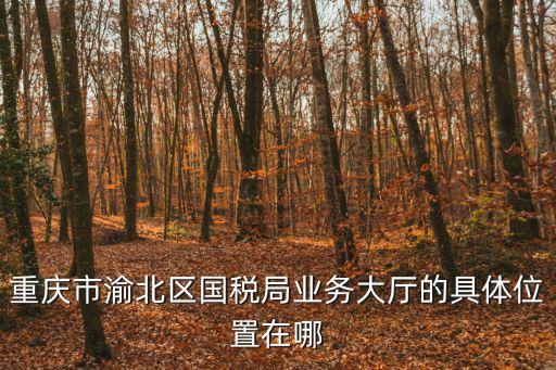 重慶市渝北區國稅局業務大廳的具體位置在哪
