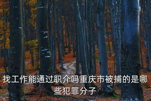 找工作能通過職介嗎重慶市被捕的是哪些犯罪分子