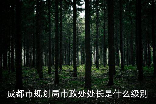 成都市規劃局市政處處長是什么級別