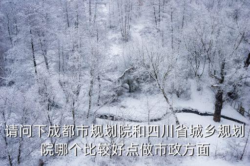 請問下成都市規劃院和四川省城鄉規劃院哪個比較好點做市政方面