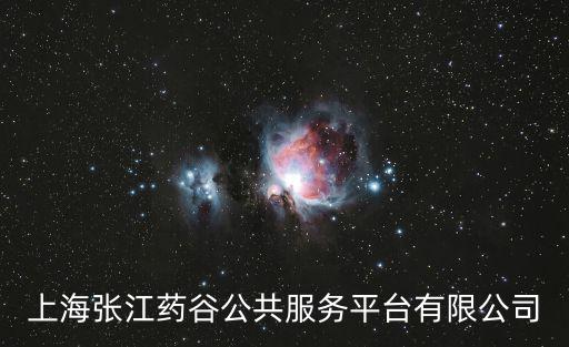 上海張江藥谷公共服務平臺有限公司