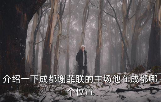 介紹一下成都謝菲聯的主場他在成都哪個位置