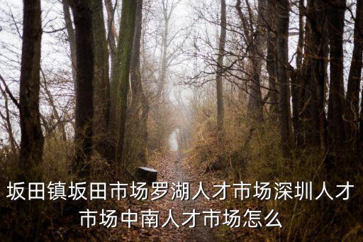 坂田鎮坂田市場羅湖人才市場深圳人才市場中南人才市場怎么