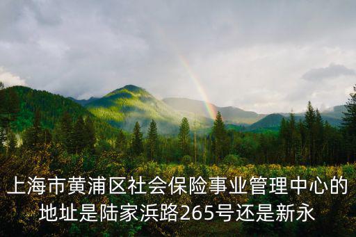 上海市黃浦區(qū)社會保險事業(yè)管理中心的地址是陸家浜路265號還是新永