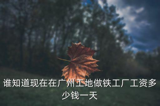 誰知道現(xiàn)在在廣州工地做鐵工廠工資多少錢一天