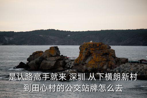 是認路高手就來 深圳 從下橫朗新村到田心村的公交站牌怎么去