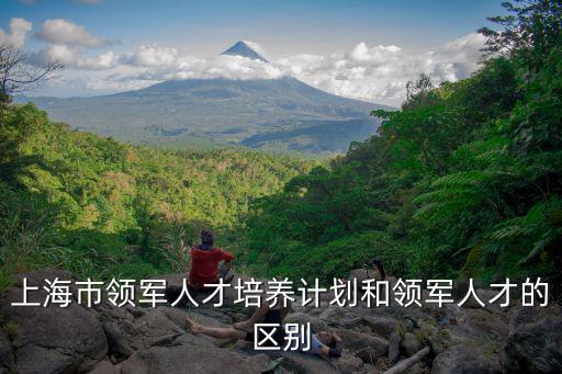 上海市領軍人才培養計劃和領軍人才的區別