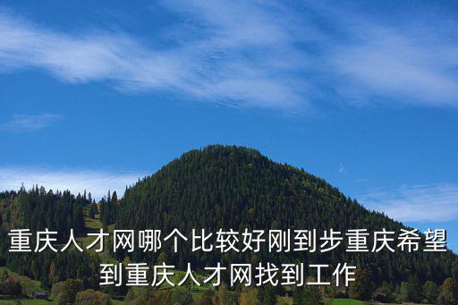 重慶市政府高層次人才，重慶目前什么人才緊缺