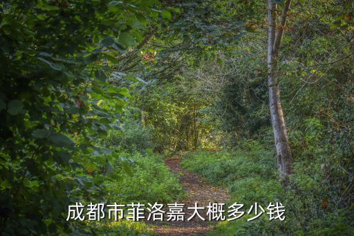 成都市菲洛嘉大概多少錢