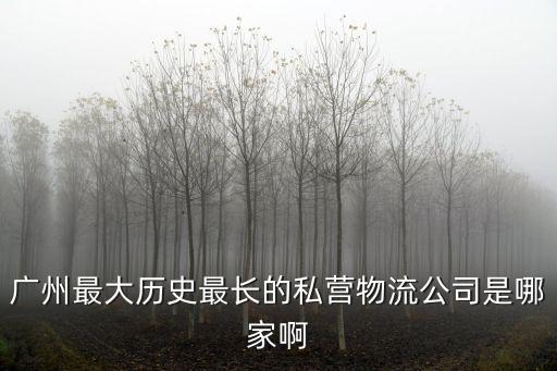 廣州市東方物流，廣州 物流