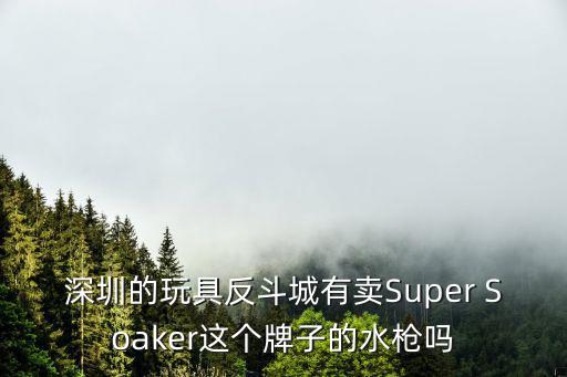 反斗城深圳龍華店，深圳的玩具反斗城有賣Super Soaker這個牌子的水槍嗎