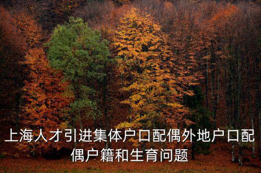 上海人才引進集體戶口配偶外地戶口配偶戶籍和生育問題
