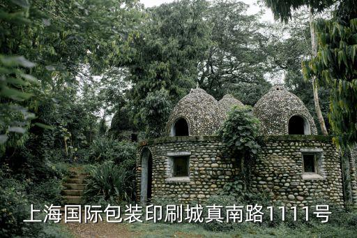 上海國際包裝印刷城真南路1111號