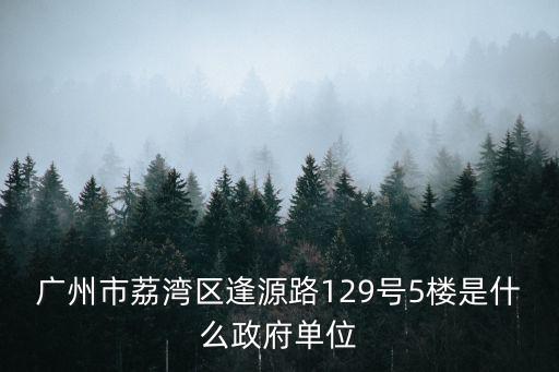 廣州市荔灣區逢源路129號5樓是什么政府單位