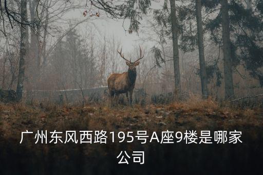 廣州東風西路195號A座9樓是哪家公司