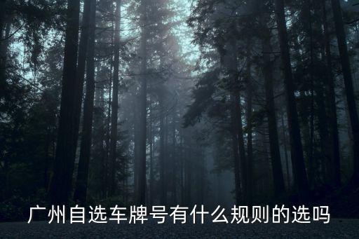 廣州自選車牌號有什么規則的選嗎