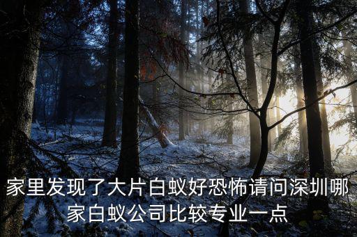 深圳一丁白蟻，我在深圳家里發現白蟻要怎么辦