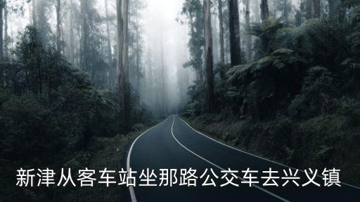 新津從客車(chē)站坐那路公交車(chē)去興義鎮(zhèn)