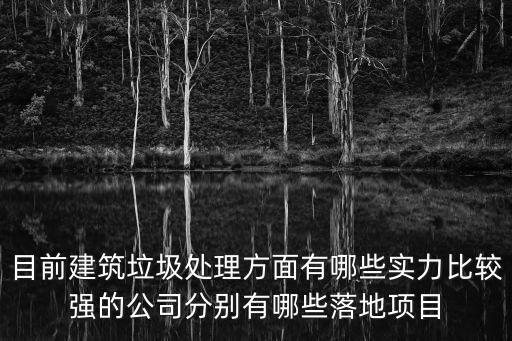 目前建筑垃圾處理方面有哪些實力比較強的公司分別有哪些落地項目