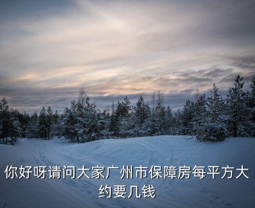 你好呀請問大家廣州市保障房每平方大約要幾錢