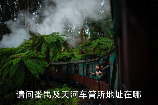 請問番禺及天河車管所地址在哪