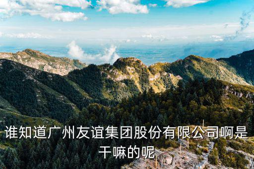 誰知道廣州友誼集團股份有限公司啊是干嘛的呢