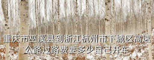 重慶市巫溪縣到浙江杭州市下城區高速公路過路費要多少自己開車
