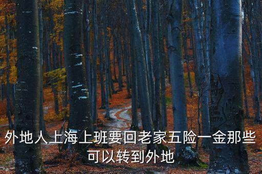 外地人上海上班要回老家五險一金那些可以轉到外地