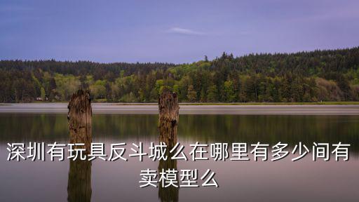 深圳有玩具反斗城么在哪里有多少間有賣模型么