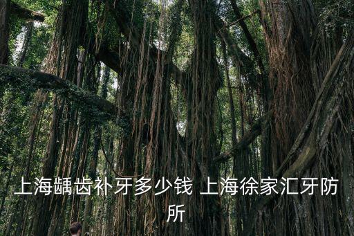 上海市牙防所鑲牙價格，上海齲齒補牙多少錢 上海徐家匯牙防所