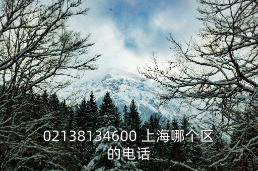 02138134600 上海哪個區(qū)的電話