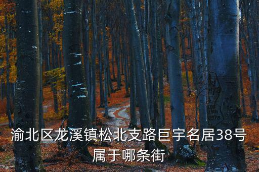 重慶市渝北區松北支路，渝北區龍溪鎮松北支路巨宇名居38號屬于哪條街