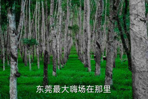 東莞最大嗨場在那里